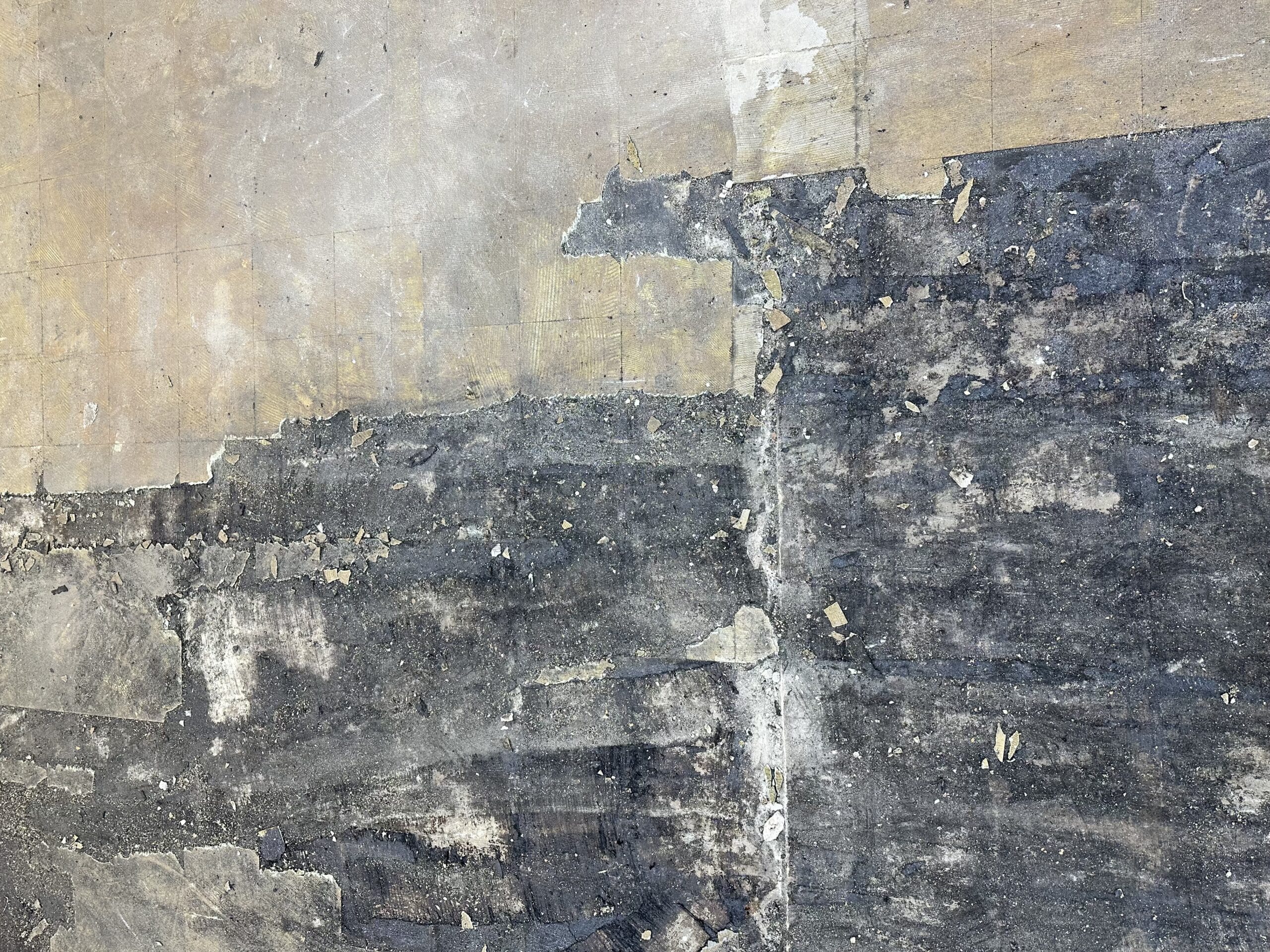 Black asbestos-containing floor tile adhesive exposed during floor removal